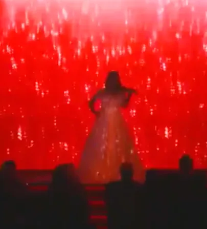 Violinist LED Mapping Show