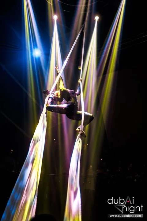 AERIALIST & ACROBAT