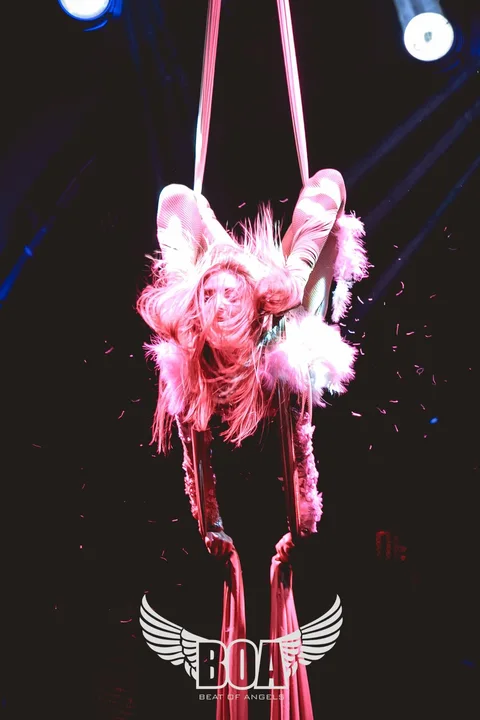 AERIALIST & ACROBAT