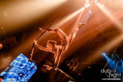 AERIALIST & ACROBAT