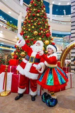 Santa Claus Visit or Meet and Greet