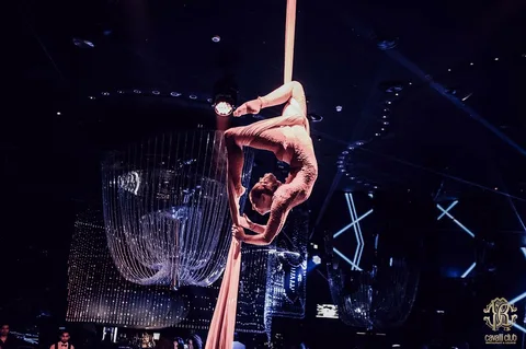 Contortionist & Aerial Artist